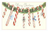 Merry Christmas, Candy Canes