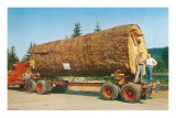Redwood on Truck