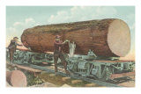 Lumberjacks with Log on Flatbed