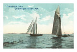 Sailboats, Chebeague Island, Maine