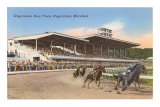 Hagerstown Race Track, Hagerstown, Maryland