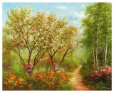 Waldweg in der Sonne