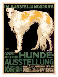 Hunde Ausstellung