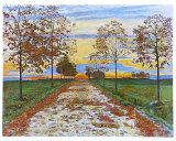 Avenue in Autumn
