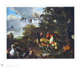 Buy Bird Concert at AllPosters.com
