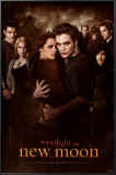 Buy Twilight - New Moon at AllPosters.com