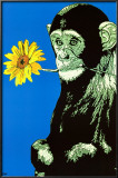 Buy Monkey With Flower at AllPosters.com