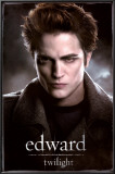 Buy Twilight from Allposters