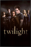Buy Twilight from Allposters