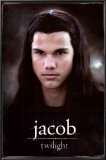 Buy Twilight at AllPosters.com