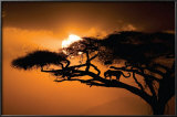 African Sky