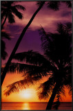 Day's End