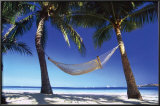 Buy Paradise In The Tropics at AllPosters.com