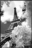 Parc du Champ de Mars, Paris