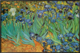 Buy Garden Of Irises at AllPosters.com