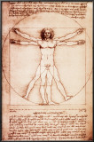 Buy Vitruvian Man at AllPosters.com