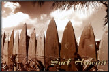 Surf Hawaii