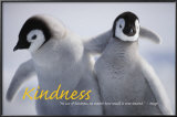 Buy Kindness at AllPosters.com
