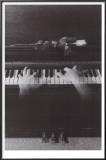 Phantom