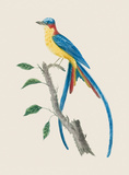 Buy Le Tyian Savana at AllPosters.com