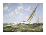 Buy Salt Spray - 'Mokoto' at AllPosters.com
