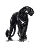 Panther III