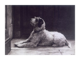 Buy Waiting For Master at AllPosters.com