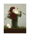 Memoire Des Roses II