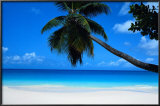 Buy Seychelles at AllPosters.com