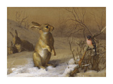 Rabbit and Bullfinch