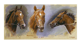 Buy Nashwan and Swain at AllPosters.com