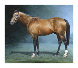 Danehill