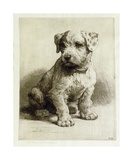 Buy Puppy at AllPosters.com