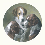 The Fathers Of The Pack