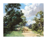 Buy Morning Ride at AllPosters.com