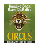 Buy Barnum And Bailey Circus at AllPosters.com