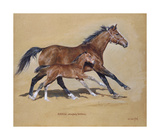 Hasili with Foal