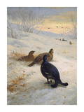 Winter in the Glen