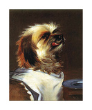 Buy West Highland Terrier II at AllPosters.com