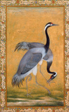 Two Cranes