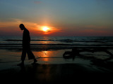 Buddhist Monk Walks Along the Beach During Sunset in Khoa Lak, Thailand - Party Travel