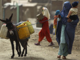 Buy Afghan Woman Walks Along with Donkey Carrying Jerry Cans Filled with Water in Kabul, Afghanistan at AllPosters.com