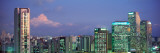 Itaim Bibi Office Towers Dusk Sao Paulo Brazil