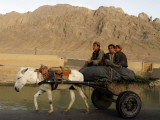 Buy Afghan Kids Ride on a Horse Carriage in Kandahar City, Afghanistan at AllPosters.com