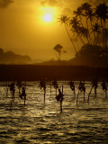 Sri Lankan Fishermen Sit Perched on Stilts Fixed into the Ocean Floor