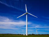 Buy Windfarm, Bridgetown, County Wexford, Ireland at AllPosters.com