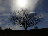 Man Sits on a Bench in the Olympic Park and Enjoys the Spring Weather in Munich, Southern Germany