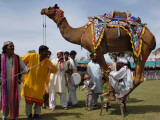 Pakistan Folk Dancers Perform; Owner Sits with His Camel, Annual Festival Horse and Cattle Show