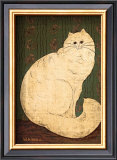 White Persian Cat