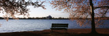 Buy Park Bench with Jefferson Memoria in Background, Tidal Basin, Potomac River, Washington DC at AllPosters.com